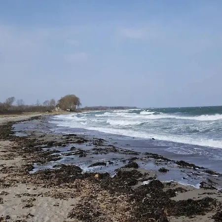 5 Person In Nyaraló *