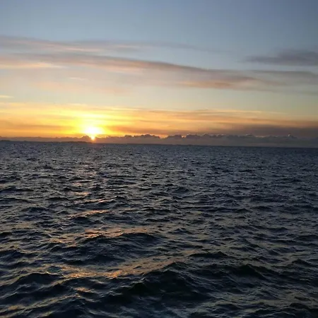 5 Person In * Tranekær