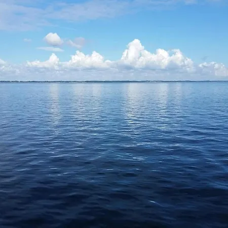 5 Person In * Tranekær