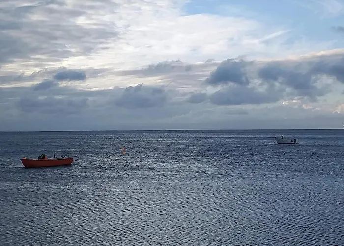 5 Person In * Tranekær