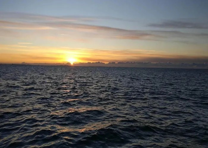 5 Person In * Tranekær